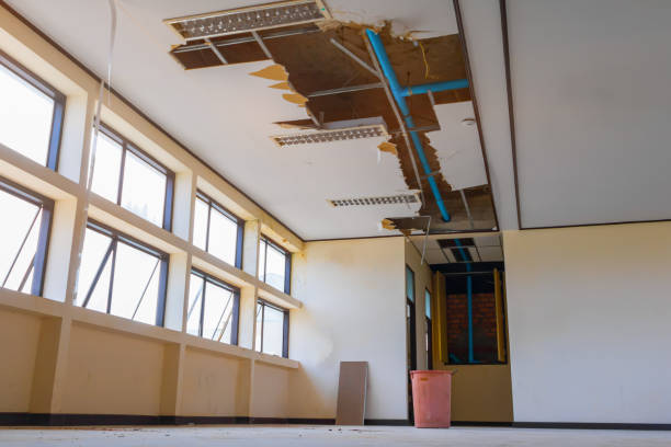Best Carpet water damage restoration  in Point Of Rocks, MD