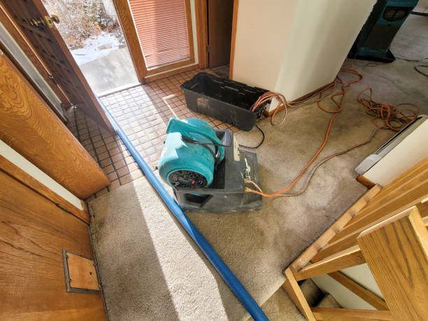 Best Residential water damage restoration  in Point Of Rocks, MD