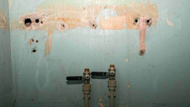 Best Local water damage restoration  in Point Of Rocks, MD
