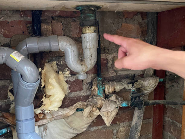 Best Flood damage cleanup  in Point Of Rocks, MD