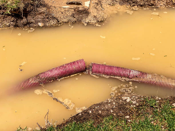 Best Emergency water damage restoration  in Point Of Rocks, MD